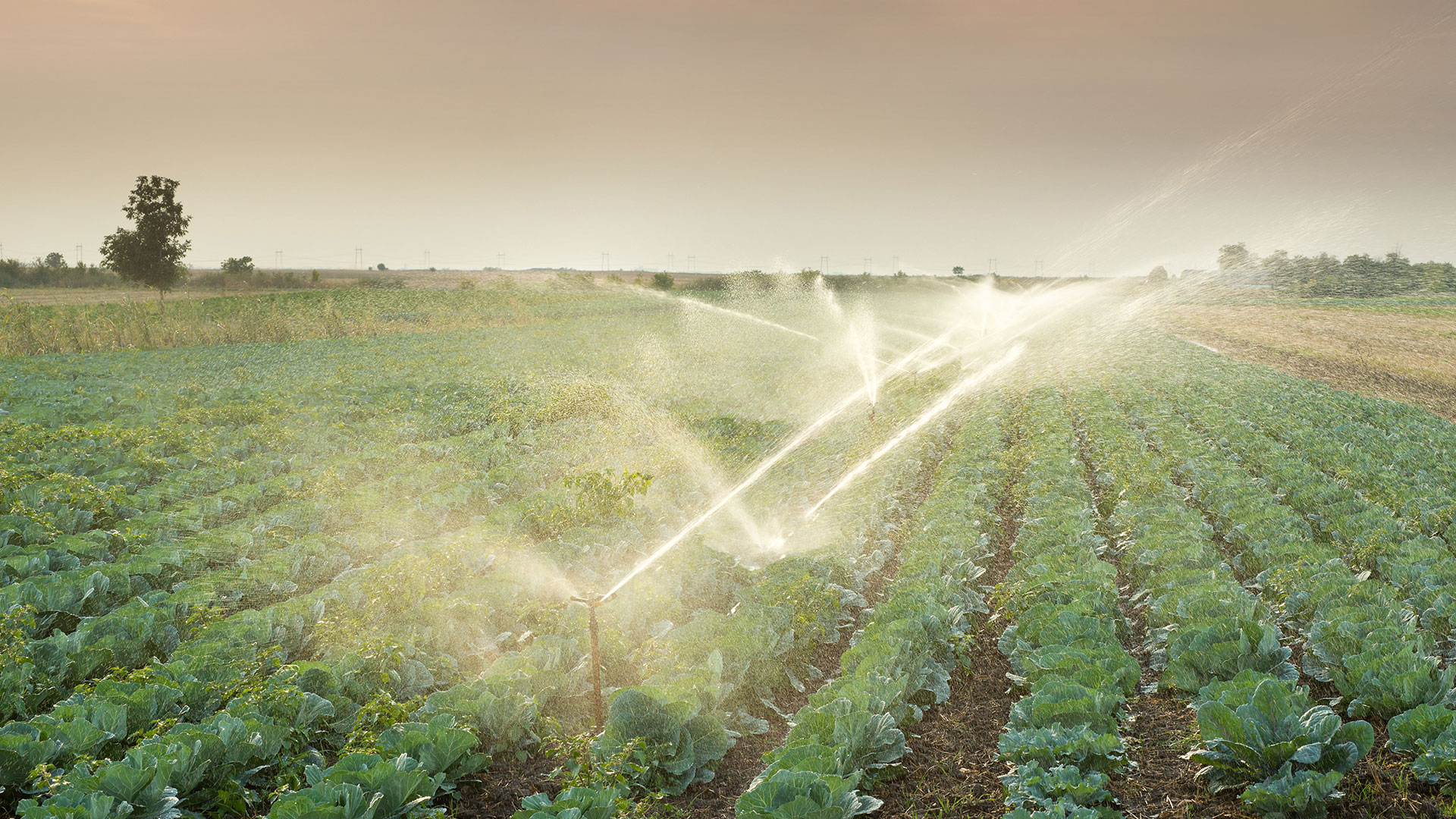 Fusion Group in Irrigation